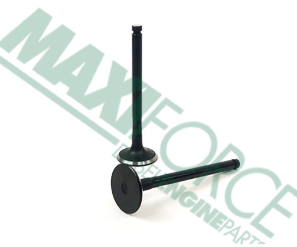 VALVULA DE ESCAPE MOTOR S4D1061FH HASTA A20813 YM123900-11110