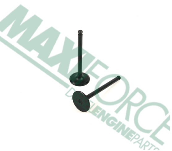 VALVULA DE ADMISION MOTOR S4D1061FH HASTA A20813 YM123900-11100