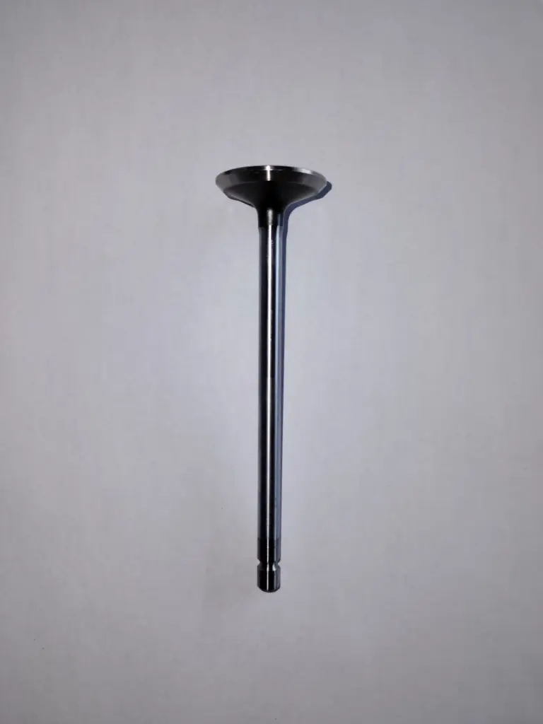 VALVULA DE ESCAPE IVECO PARA CASE TIER 3 4895051