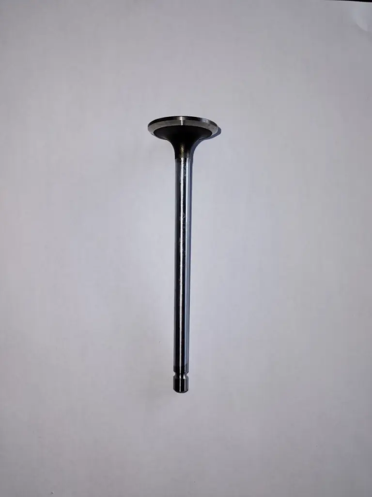 VALVULA DE ADMISION IVECO PARA CASE TIER 3 4895052