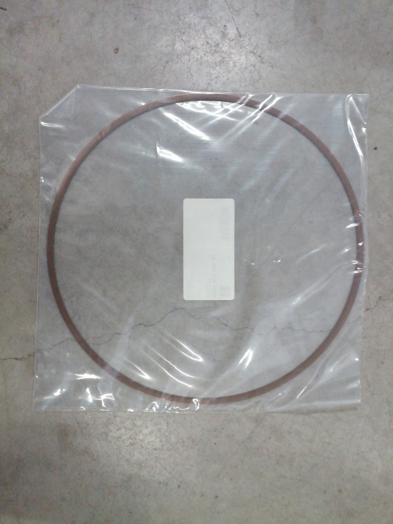 SELLO PARA CASE 384317A1