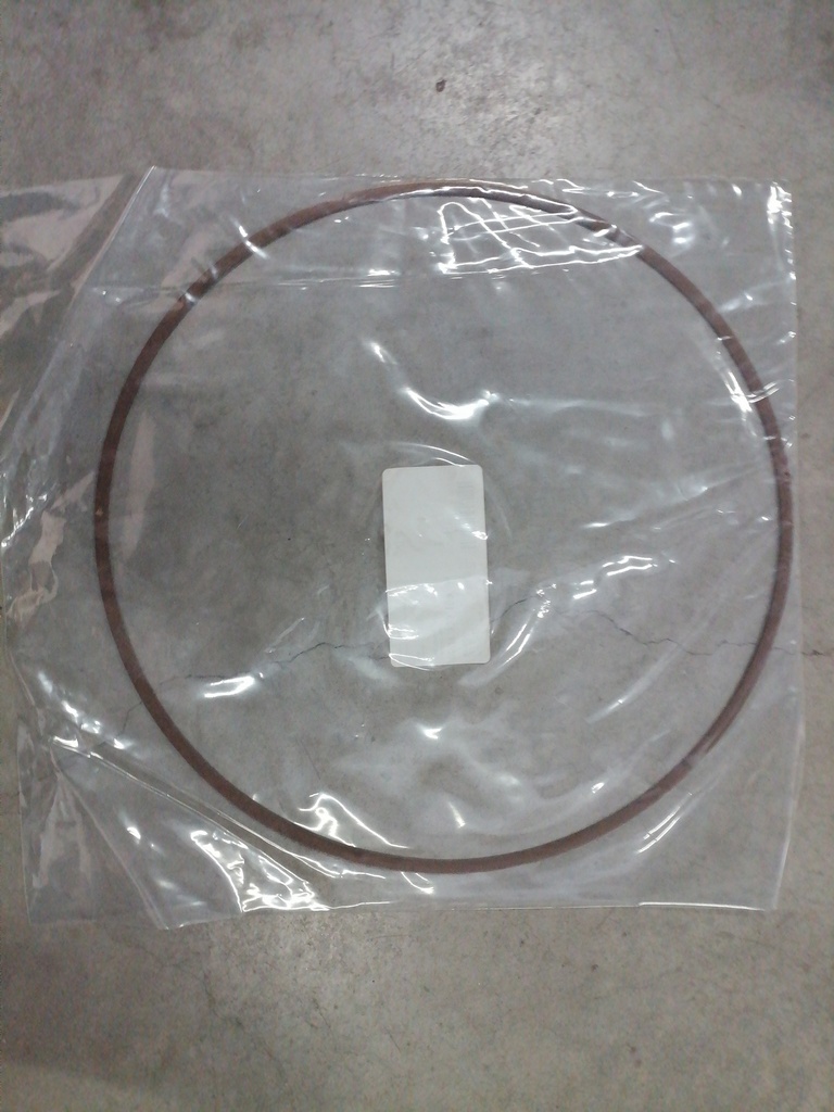 SELLO PARA CASE 384319A1