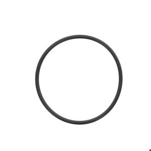 O RING PARA CATERPILLAR 0058593