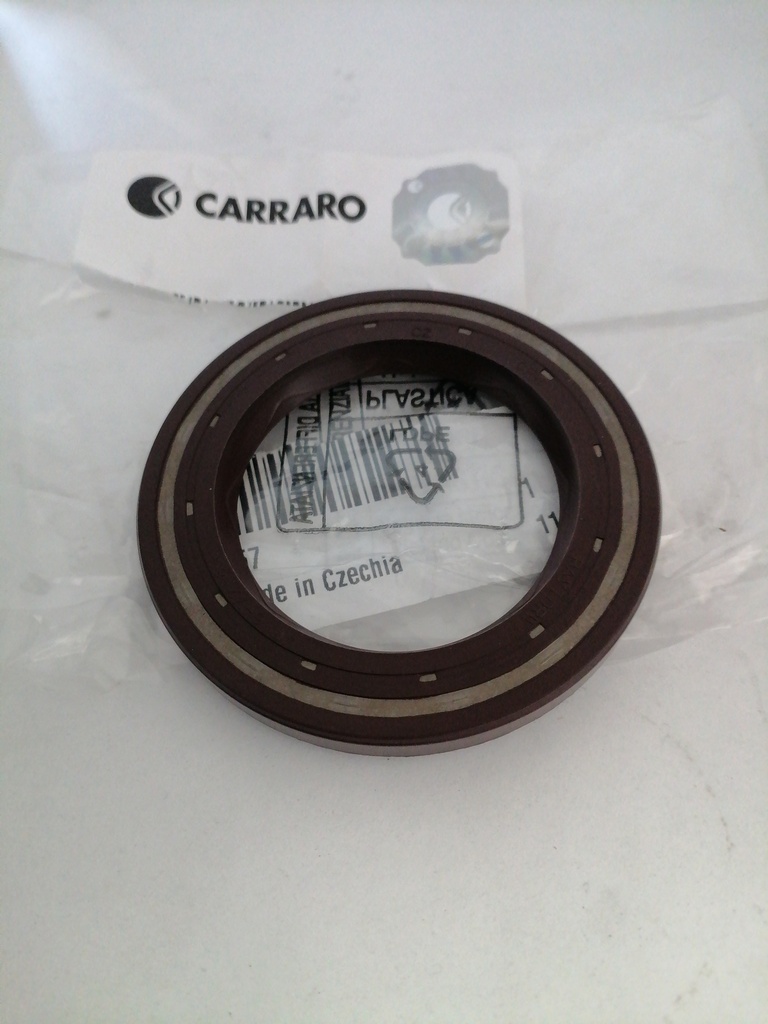 RETEN DE CONVERTIDOR PARA TRANSMISION CASE 181205A1