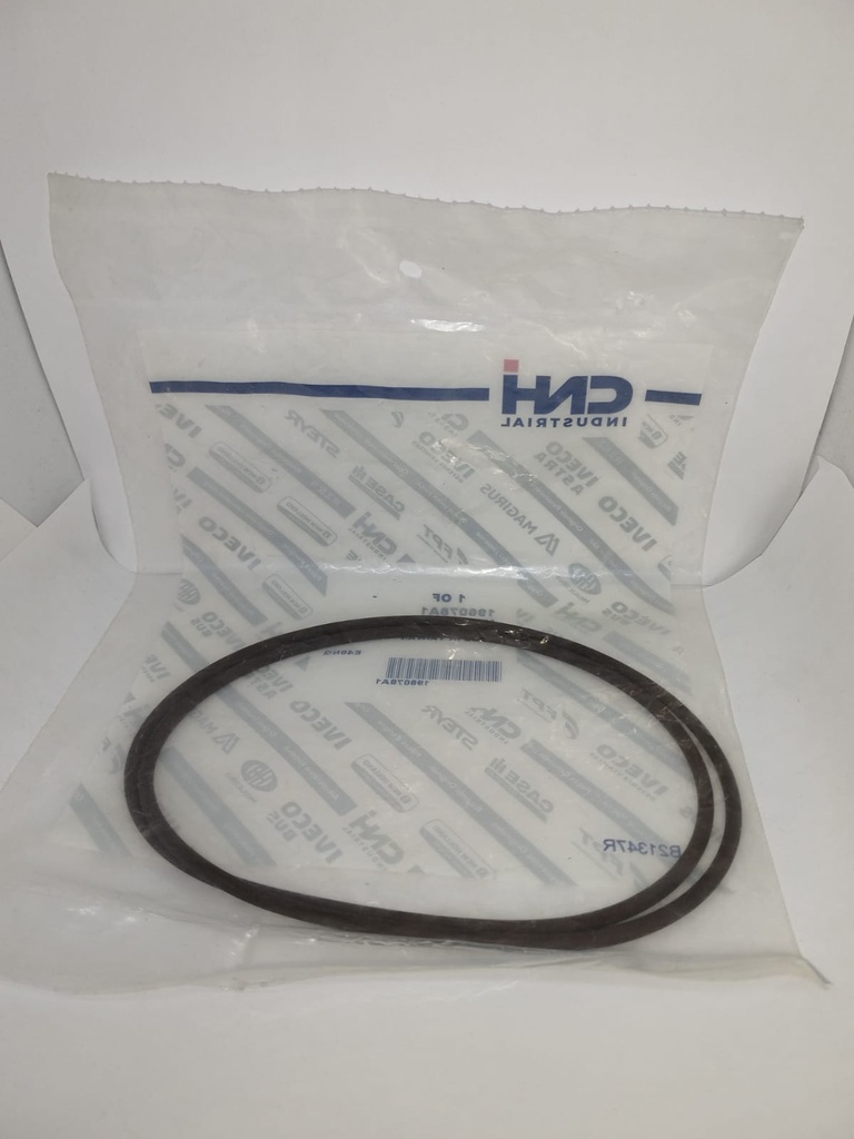 SELLO DE PISTON ORIGINAL PARA CASE 196078A1