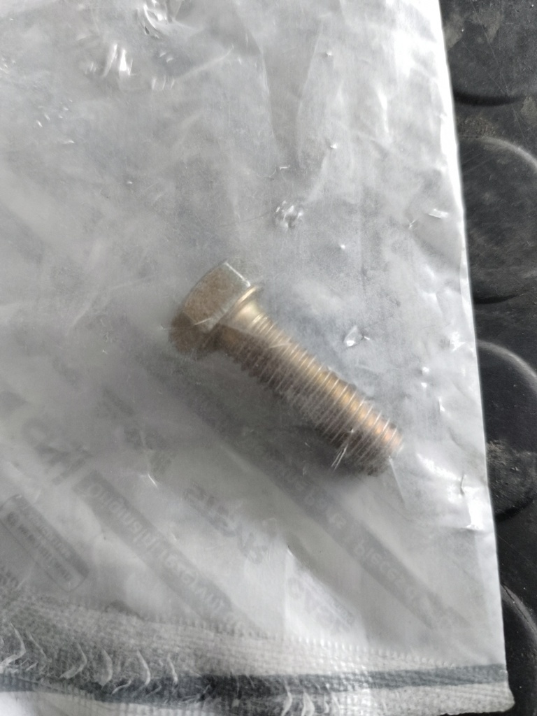 TORNILLO PARA CASE 43127