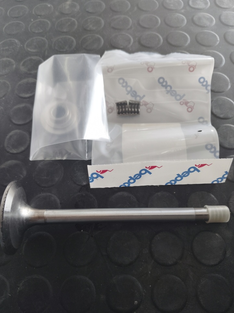 VALVULA DE ADMISION .015" PARA NEW HOLLAND 555E 81865093