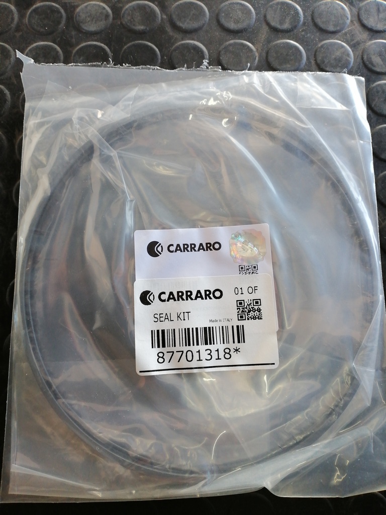 SELLO DE PISTON PARKING PARA CASE 87701318