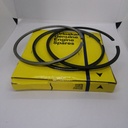 KIT DE ANILLOS STD PARA TEREX TLB740 TLB844S ORIGINAL