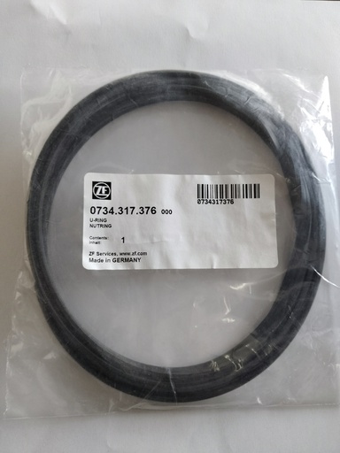[8605314-OEM 384315A1-OEM 0734.317.376] RETEN DE FRENO PARA CASE 8605314