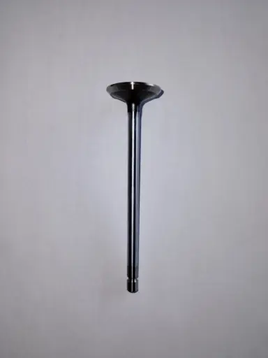 [4895051-K] VALVULA DE ESCAPE IVECO PARA CASE TIER 3 4895051