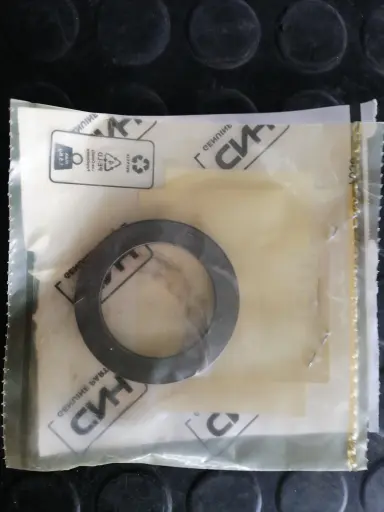 [48136704-O 85808297] RONDANA PARA CASE 48136704 