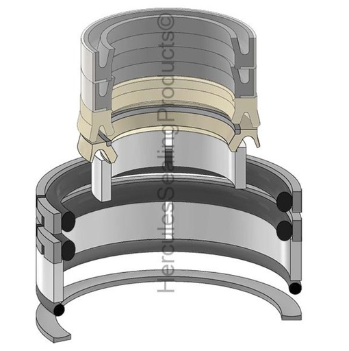 [1542919C4-HR G110583 1542919C2] KIT DE SELLOS 2.25 X 5.00 BOOM PARA CASE 580SM 1542919C4