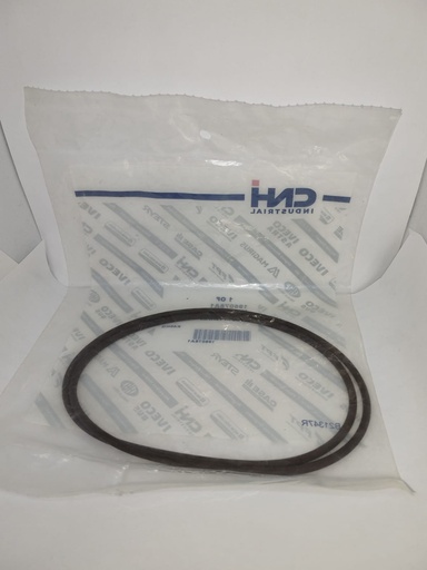 [196078A1-OEM 1990700 133758] SELLO DE PISTON ORIGINAL PARA CASE 196078A1