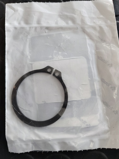 [85806000-T A48041] SEGURO OMEGA PARA CASE 85806000